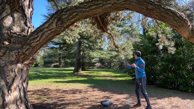 Male disc golf player under a branch framing the shot